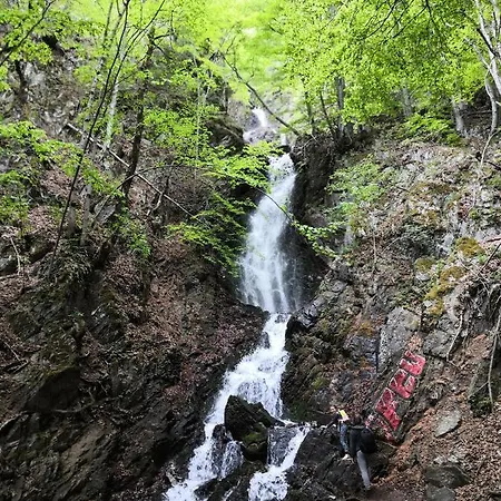 Sky - Free Garage شقة كوباونيك