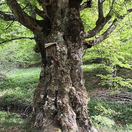 Sky - Free Garage شقة *