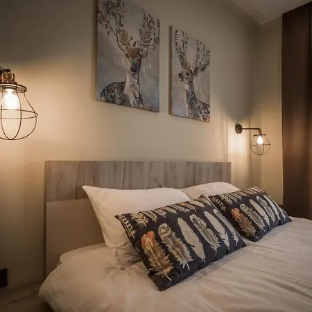 Sky - Free Garage شقة كوباونيك