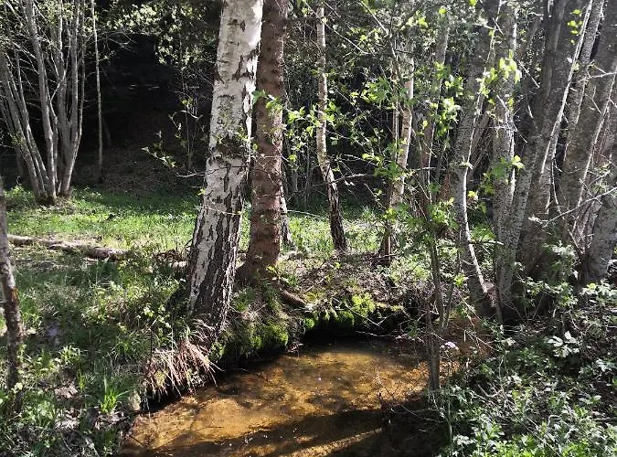 Lejlighed Sky - Free Garage *