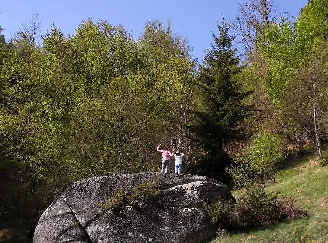 Sky - Free Garage Lejlighed