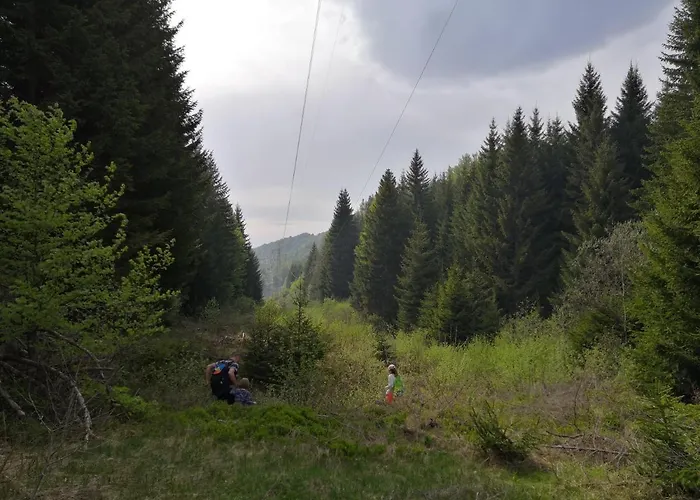 Lejlighed Sky - Free Garage Kopaonik
