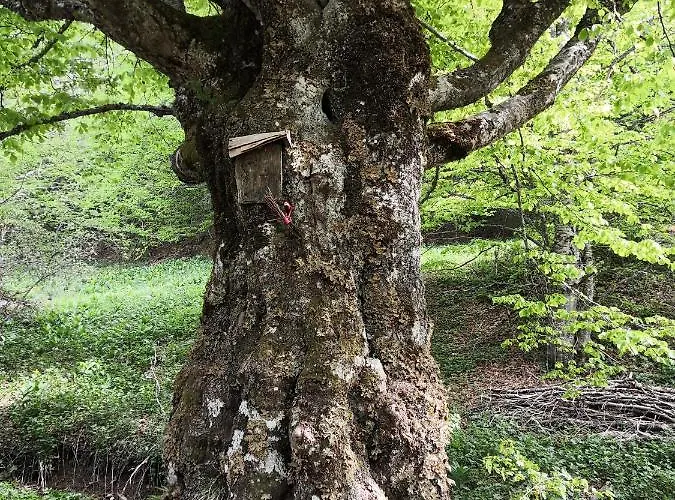 Sky - Free Garage Lejlighed *